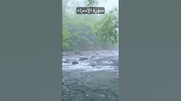 سورة الإسراء - قُلِ ٱدۡعُواْ ٱللَّهَ أَوِ ٱدۡعُواْ ٱلرَّحۡمَٰنَۖ أَيّٗا مَّا تَدۡعُواْ فَلَهُ…