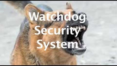 Watchdog Security System