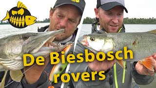 Snoek VS roofblei op de Amer in de Biesbosch