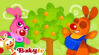 Oranger 🍊​🌳​ Jeux De Devinettes Avec Kenny & Goorie 🦘 | Dessins Animés Pour Enfants @Babytvfr