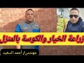 زراعة الكوسة والخيار في المنزل بكل سهولة