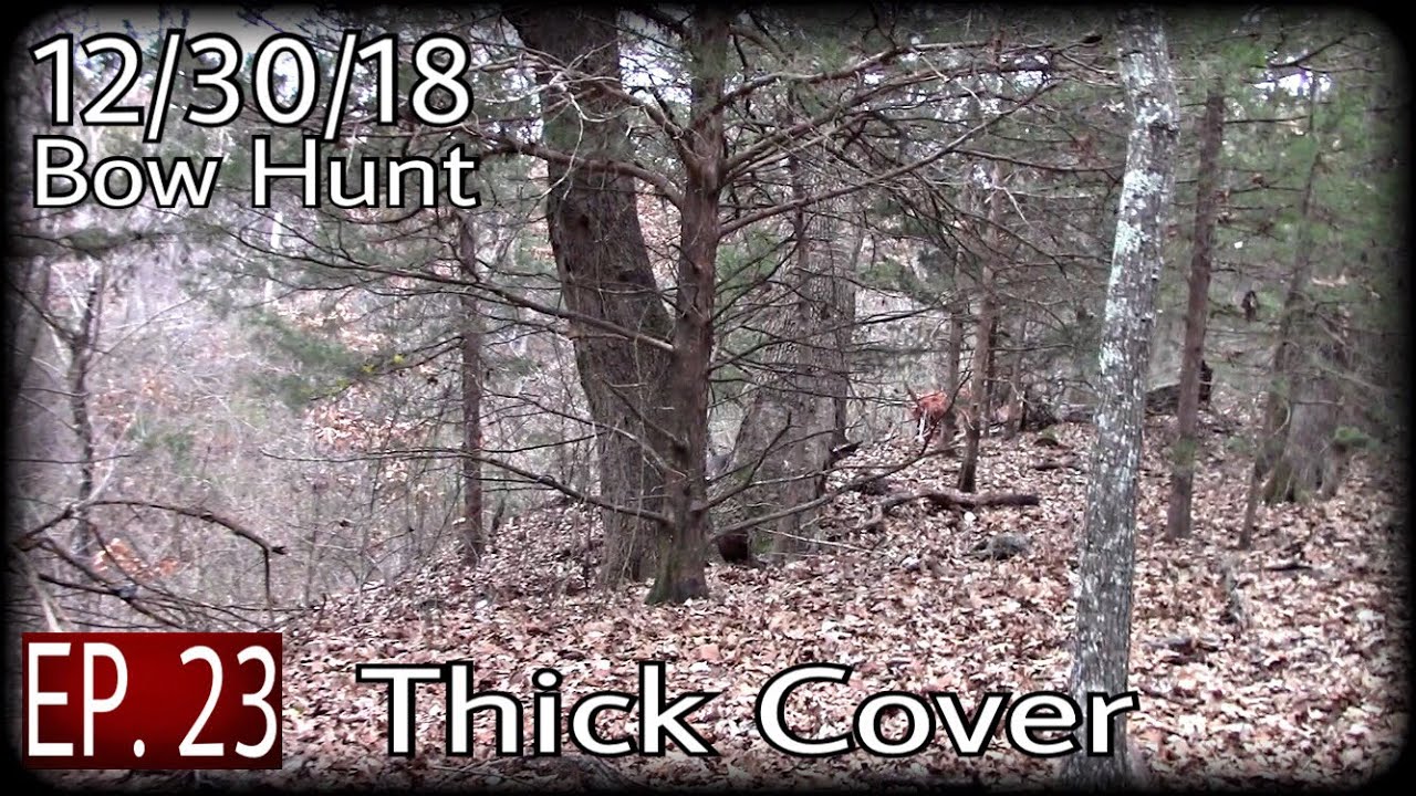 Stalking Through Thick Cover For Deer Deer Hunting 2018 Bow Hunt Dec