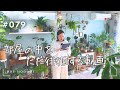 【部屋を徘徊】植物紹介のつもりがただの徘徊（Vlog/079）