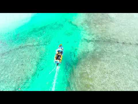 4 Minutes Of Soothing Music With Beautiful Nature Meditate Relax Chill Soothe