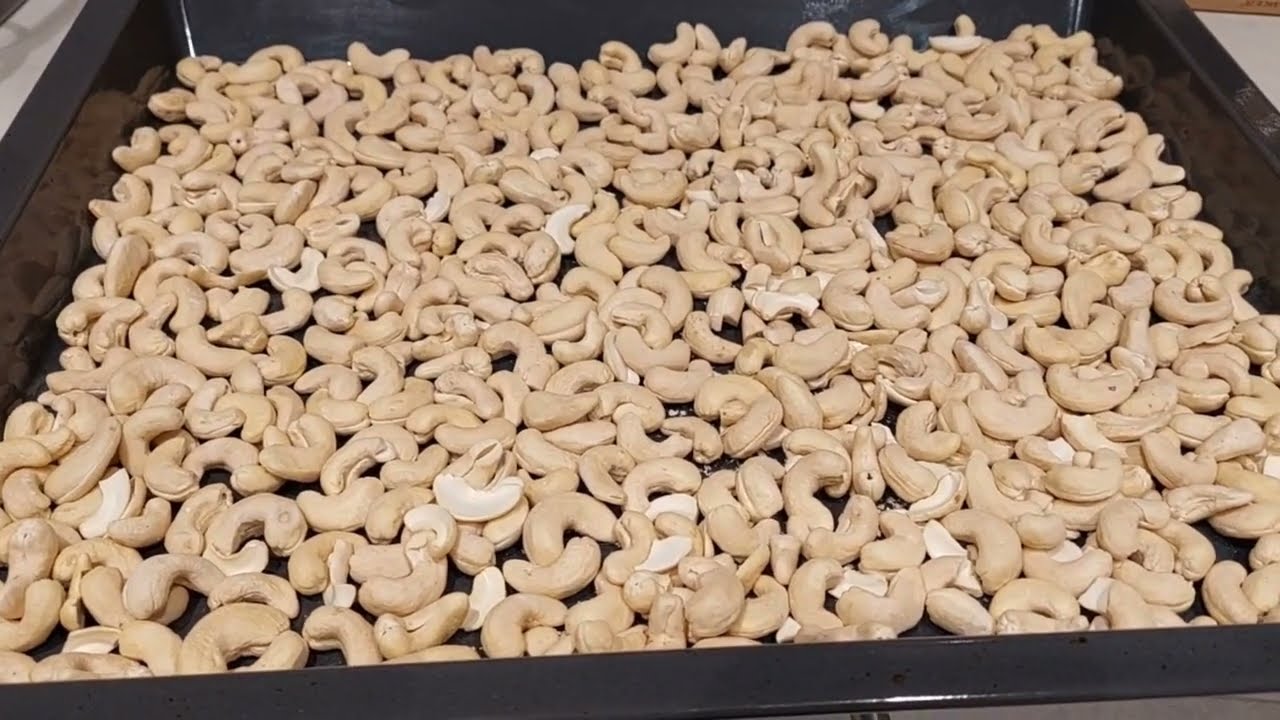 วิธีอบเม็ดมะม่วงหิมพาน.