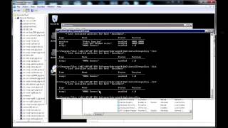 HP BSM Monitoring Automation