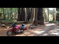 Grizzly Creek Redwoods-California HWY 36-Nowhere to Run-Grand Funk-Motorcycle ride-Honda ST1300