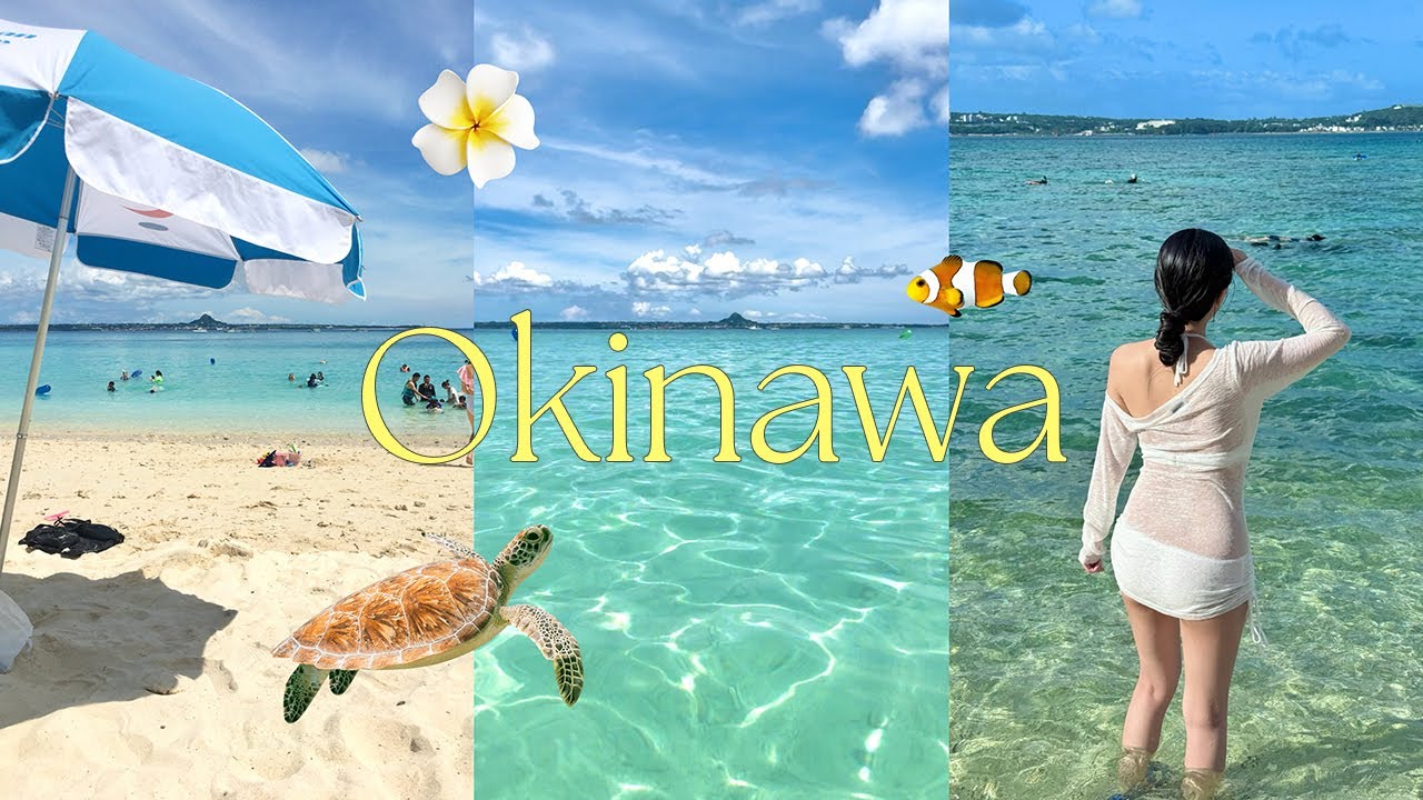 8월 오키나와 여행 브이로그🏝️⊹ ₊˚ 민나섬 첫 스노쿨링 도전🤿 물고기 많은 스팟🐠 인생 타르트•야끼니쿠 맛집✨