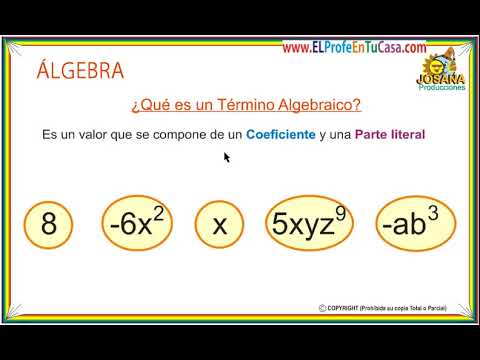 Elementos De Un Termino Algebraico