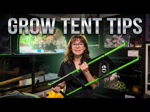 Enclosure Tips: Grow Tent Lights and More!