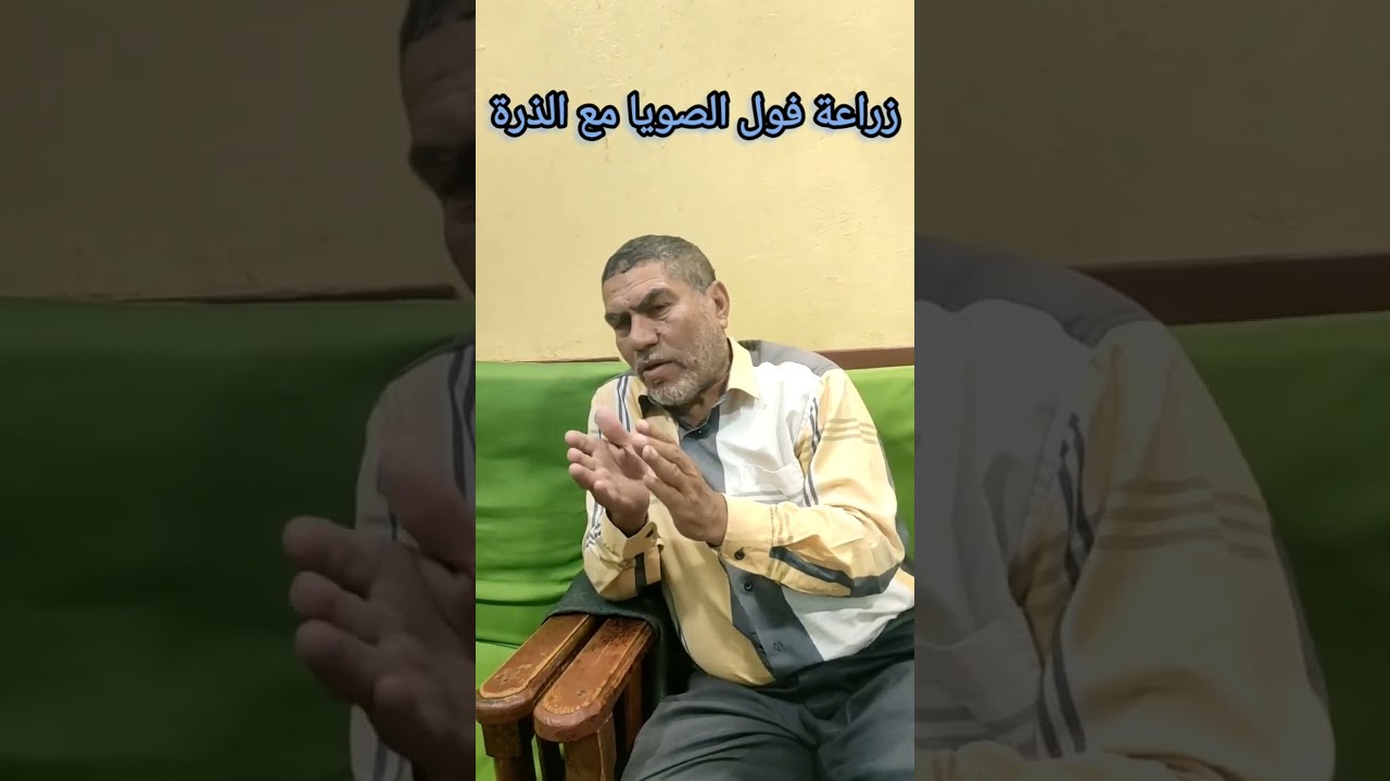 فول الصويا مع الذرة الشامية