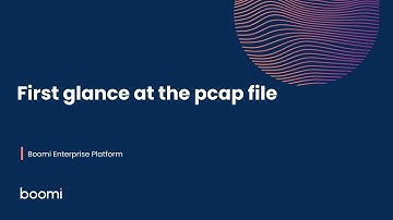 Eerste blik op het pcap-bestand