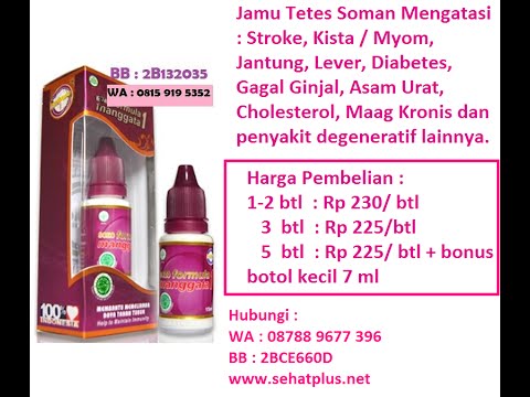 Obat Herbal Traditional Bronchitis, Sembuh Bronchitis ...