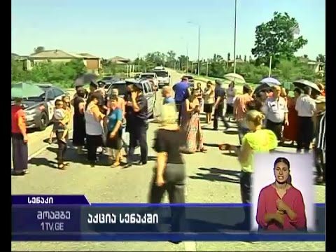 აქცია სენაკში