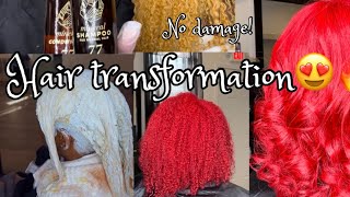 Dying Natural Black Hair RED No Damage😍|Adore Color| MOERIE Products #Thehairsurgeon#vlogtober day5