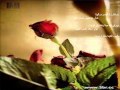 بالحب التقينا