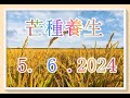 芒種 5.6.2024 養生溫馨提示！附多款適合湯水