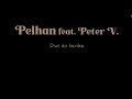 Pelhan feat peter v  pot do barika official lyrics