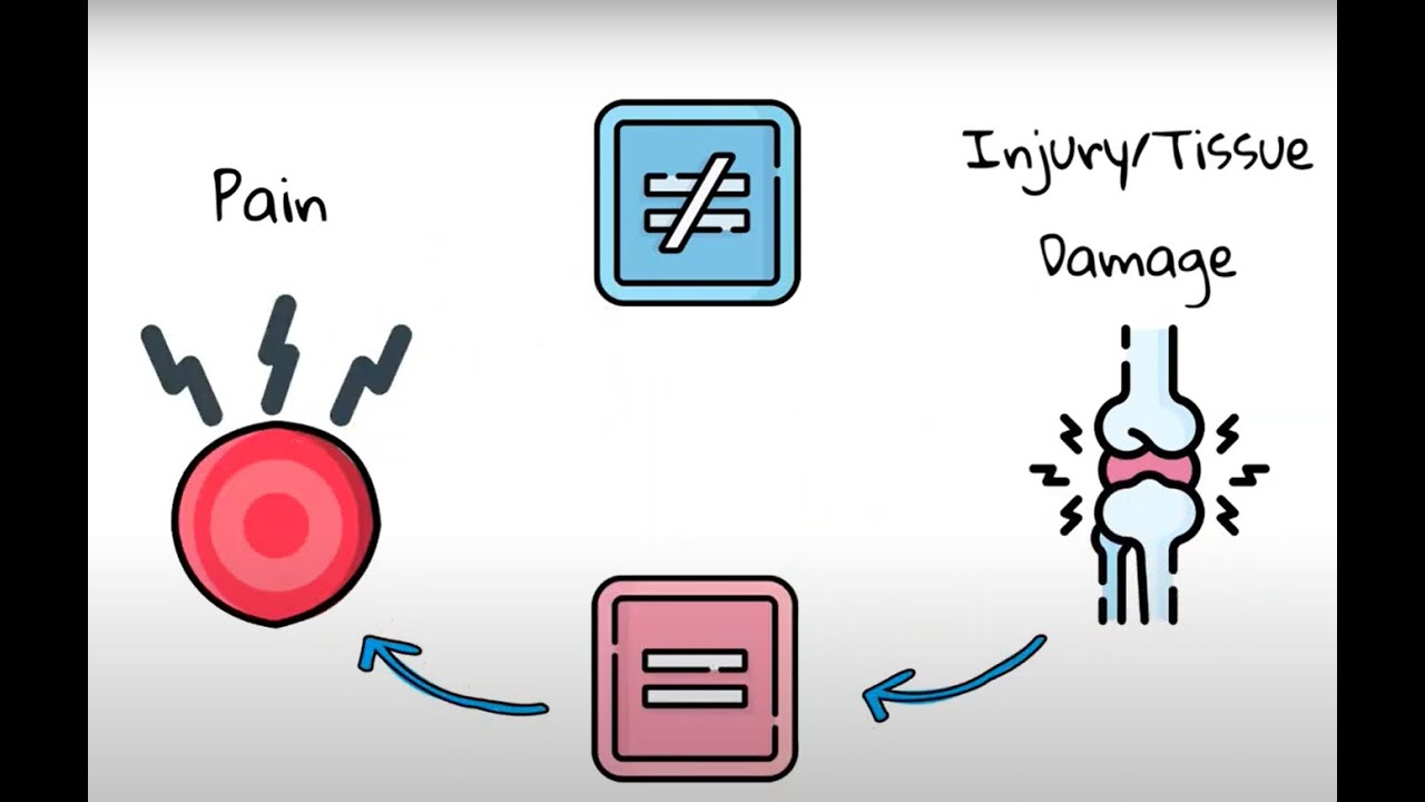 Explaining Pain 1 The Brain Generates Pain - YouTube