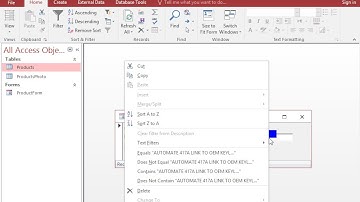 Use the open form to find the record where the value of the Description field contains the...