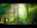 Meditation Music, Concentration Music, Study Music, Relaxing Music for Studying, Alpha Waves, ☯3401