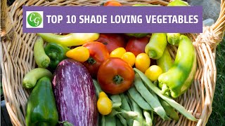 Top 10 Shade Loving Vegetables  The Best Veggies To Grow In Shade