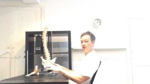 5 best tips to set up your desk ergonomically to prevent RSI