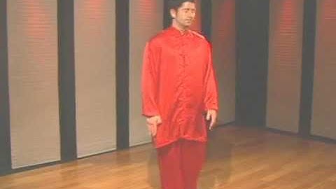 Kung Fu Tan Tui 2 Demo