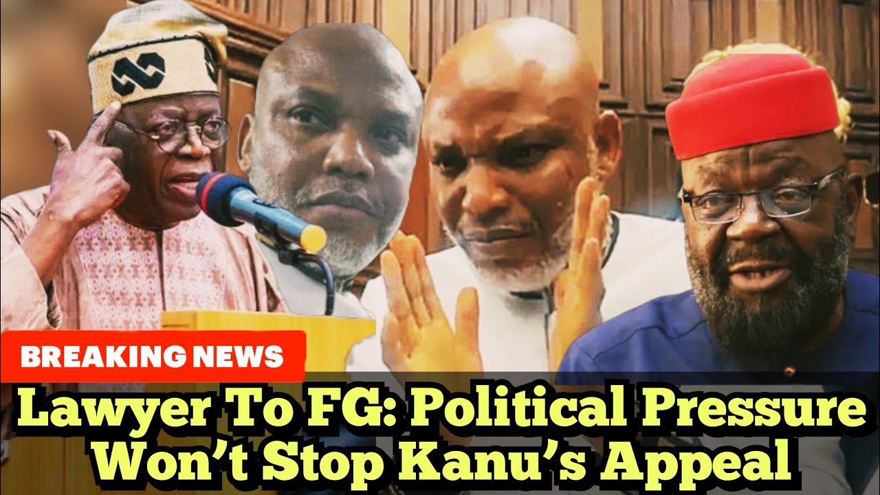 Политическое давление не сможет остановить правосудие — адвокат утверждает, что апелляция Ннамди ...