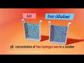 Understanding pH and Its Importance