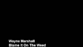 Watch Wayne Marshall Blame It on The Weed video