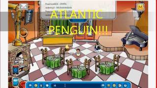 Atlantic Penguin