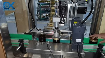 Automatic Single Head Capping Machine with Caps Sorting Elevator for Sauce Glass Bottles