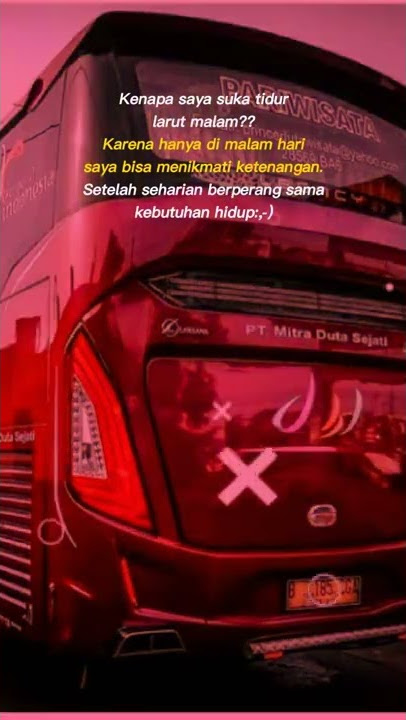 story wa Bus pariwisata