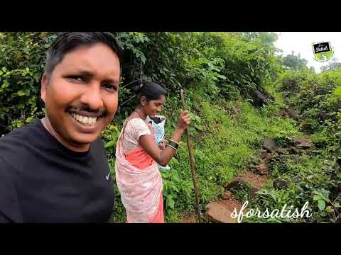 आम्ही लावलेली झाडं आता कशी आहेत 😍 | वर्षासोबत रानातला प्रवास - Ambavali, Mandangad ( Konkan)