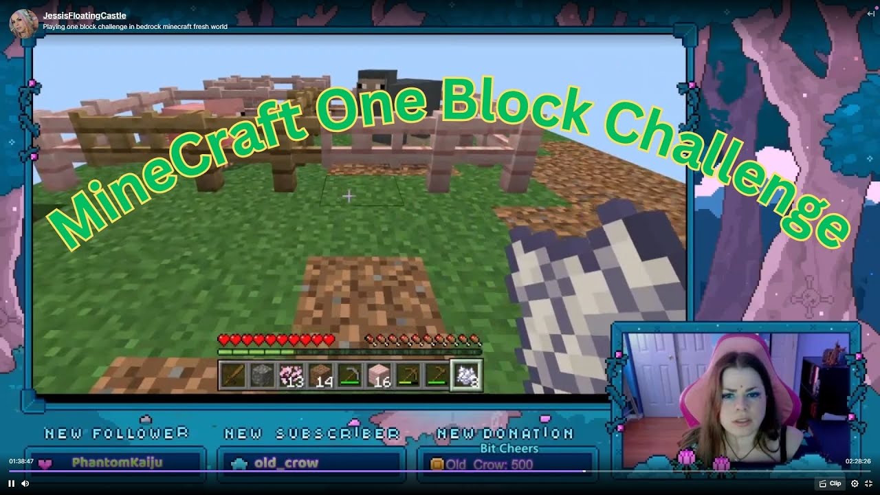 One Block Challeng Minecraft Minecraft one block challenge Bedrock Part: 1 - YouTube