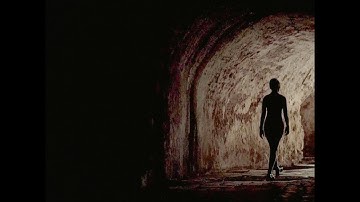 NECH018: Innersection - Sophia