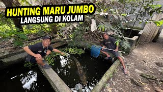 AUTO SEROK!! HUNTING MARU JUMBO BANYAK BUNGA DI KOLAM PAK KOMANG