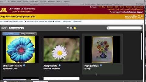 Access VoiceThread through Moodle as a Student
