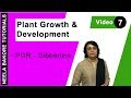 Plant Growth & Development - PGR - Gibberlins