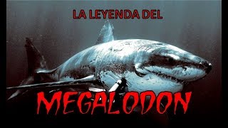 MEGALODON: El Demonio Negro|Criptozoologia|Terror