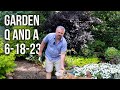 Great Gardening Questions Answered - Summer Watering, Insect Problems, Moisture Meter