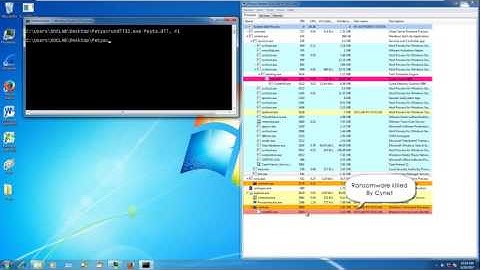 NotPetya vs Cynet - The Movie