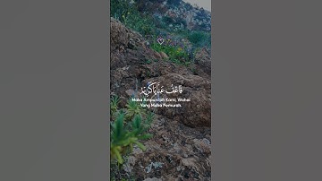 قرآن كريم _ راحة نفسية _تلاوة خاشعة #قرآن #اكسبلور #لايك #tiktok #duet