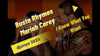 Busta Rhymes, Mariah Carey - I Know What You Want (djsinyo 2023 cut)