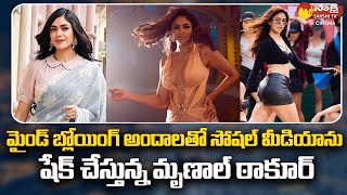 Mrunal Thakur Shake Social Media With Her Beauty Selfiee Movie