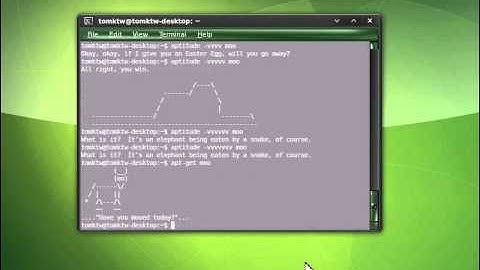 Linux Terminal Easter Eggs