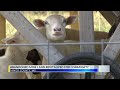 Degraded mine land in Mingo County revitalized for the community