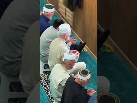 Бачи-юрт