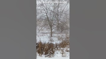 Who Lowered My Render Distance 💀 #shorts